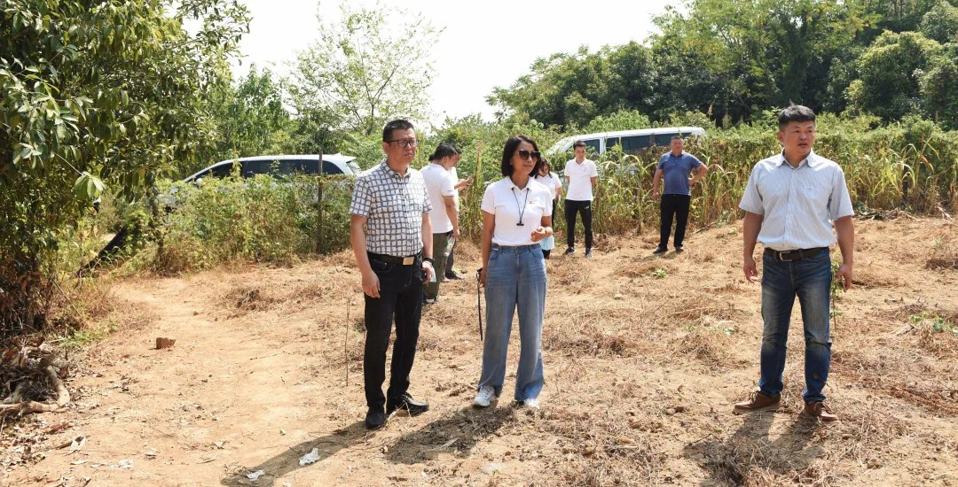 微信图片_20220927223941.png 微信图片_20220927223941.png